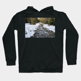 Fitzsimmons Creek at Whistler Hoodie